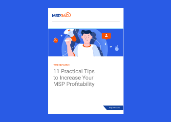 11 Practical Tips to Increase Your  MSP Profitability blog header